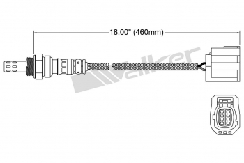 Oxygen Sensor