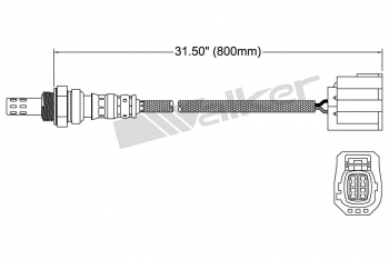 Oxygen Sensor
