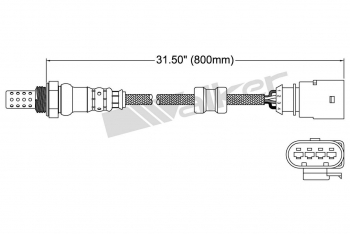 Oxygen Sensor