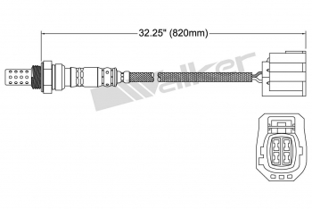 Oxygen Sensor