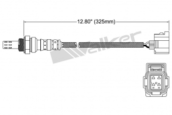 Oxygen Sensor