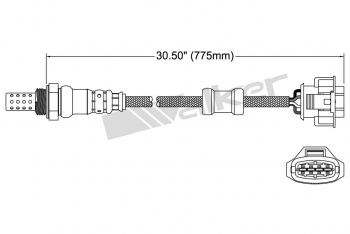 Oxygen Sensor