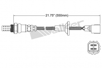 Oxygen Sensor