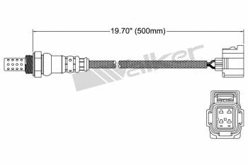 Oxygen Sensor