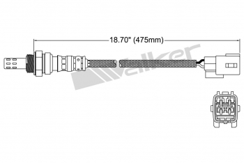 Oxygen Sensor