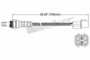 Oxygen Sensor