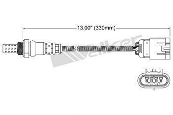 Oxygen Sensor