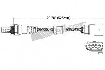 Oxygen Sensor