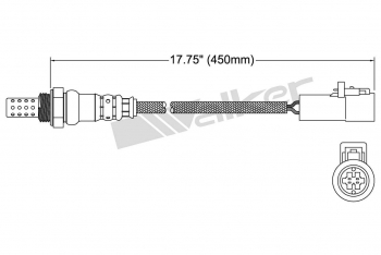 Oxygen Sensor