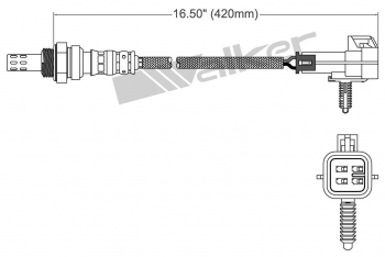 Oxygen Sensor