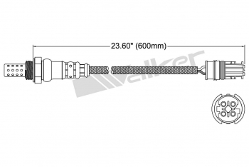 Oxygen Sensor