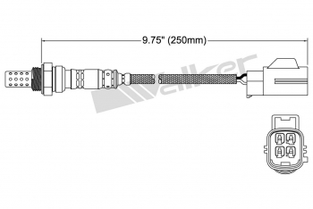 Oxygen Sensor