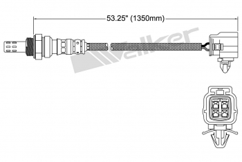 Oxygen Sensor