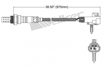 Oxygen Sensor