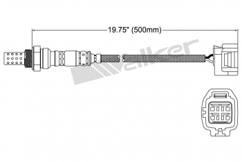 Oxygen Sensor