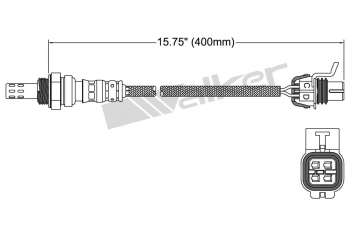 Oxygen Sensor