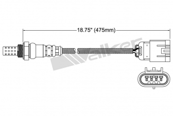 Oxygen Sensor