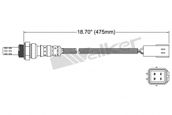 Oxygen Sensor