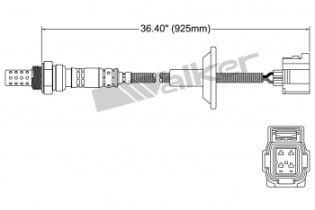 Oxygen Sensor