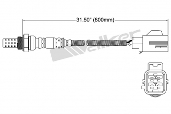Oxygen Sensor