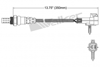 Oxygen Sensor