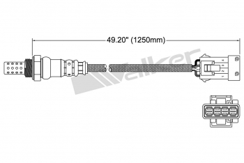 Oxygen Sensor