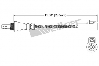 Oxygen Sensor