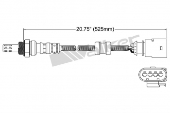 Oxygen Sensor
