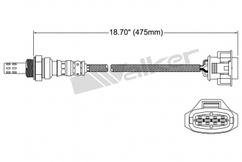 Oxygen Sensor