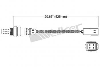 Oxygen Sensor