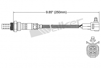 Oxygen Sensor