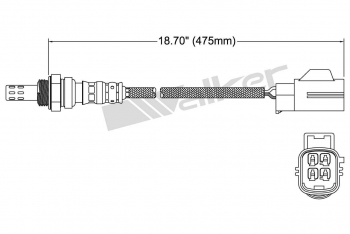 Oxygen Sensor