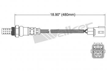 Oxygen Sensor