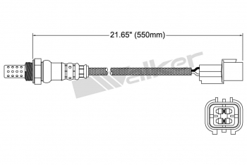 Oxygen Sensor