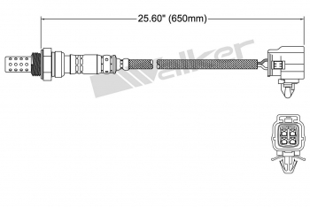 Oxygen Sensor