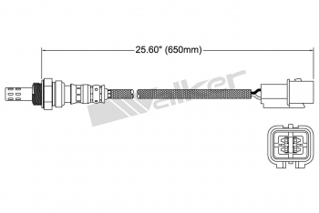 Oxygen Sensor