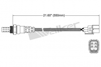 Oxygen Sensor