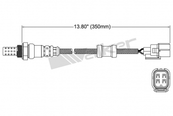 Oxygen Sensor