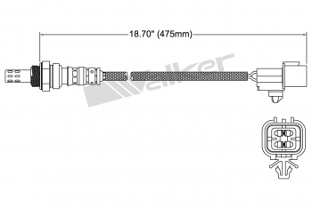 Oxygen Sensor