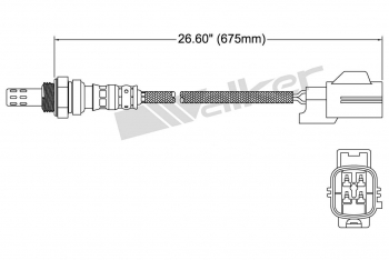 Oxygen Sensor