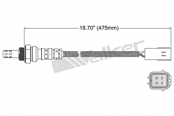 Oxygen Sensor