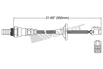 Oxygen Sensor