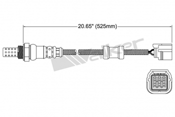 Oxygen Sensor