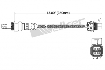 Oxygen Sensor