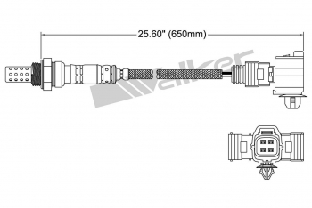 Oxygen Sensor