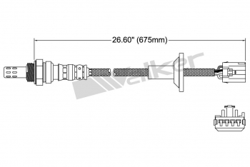 Oxygen Sensor