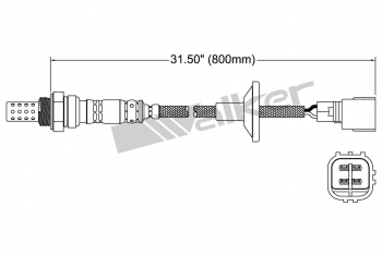 Oxygen Sensor