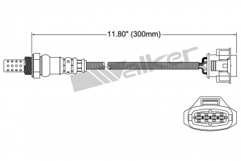 Oxygen Sensor