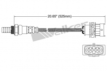 Oxygen Sensor
