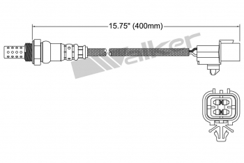 Oxygen Sensor
